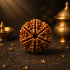 6 Mukhi Rudraksh