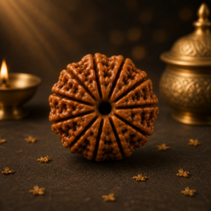 11 Mukhi Rudraksh