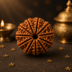 12 Mukhi Rudraksh