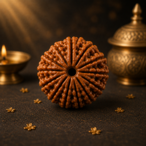 13 Mukhi Rudraksh