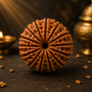 14 Mukhi Rudraksh